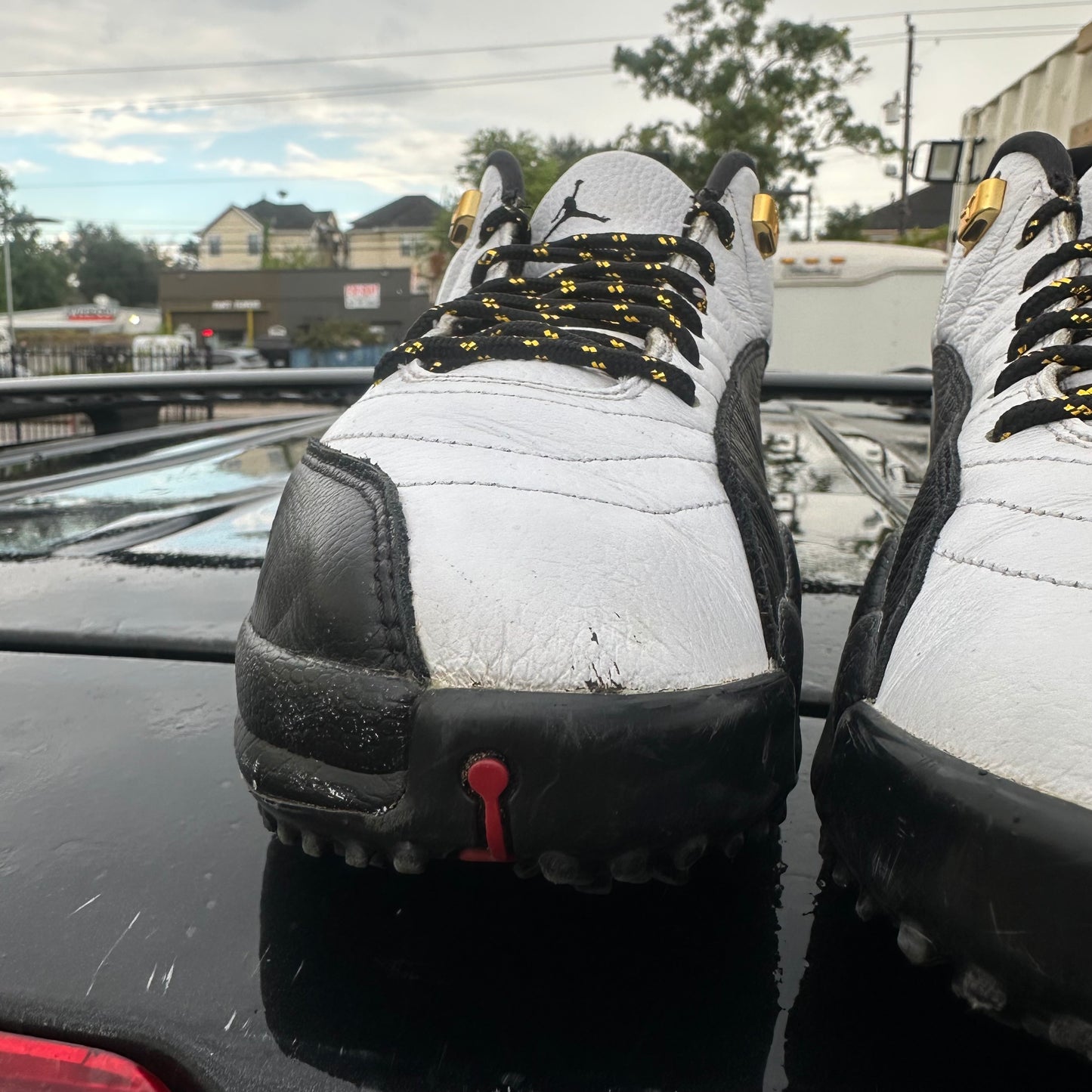 Jordan 12 GOLF Taxi Size 12