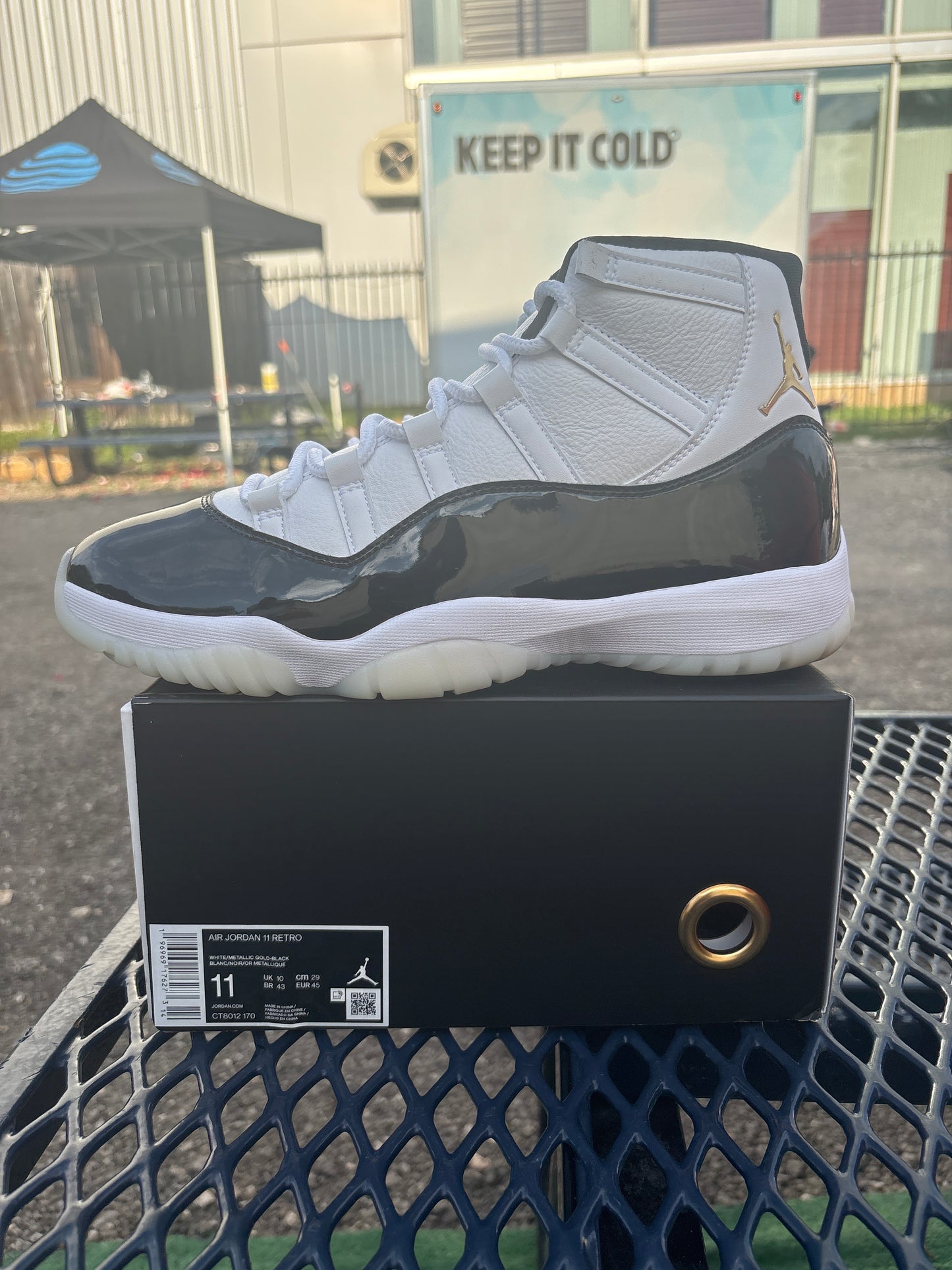 AJ 11 DMP Gratitude Size 11