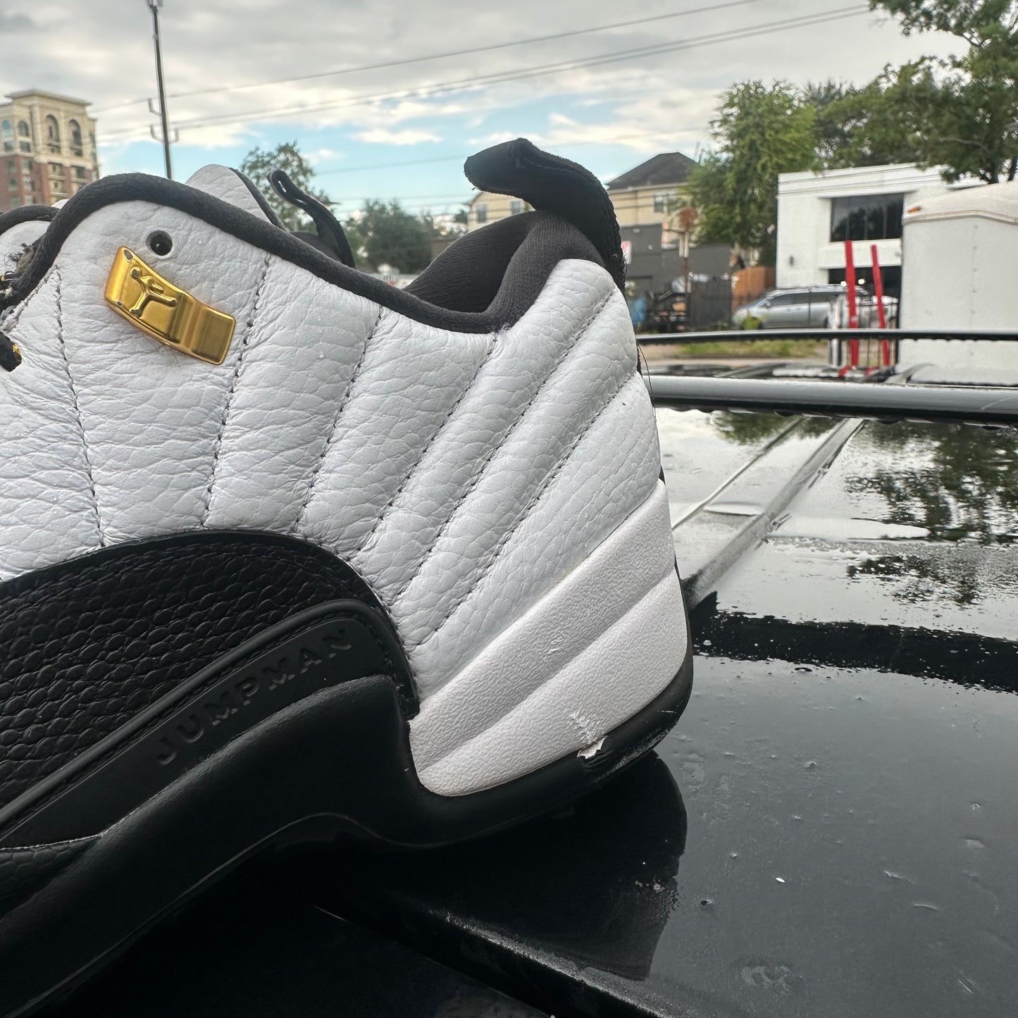 Jordan 12 GOLF Taxi Size 12