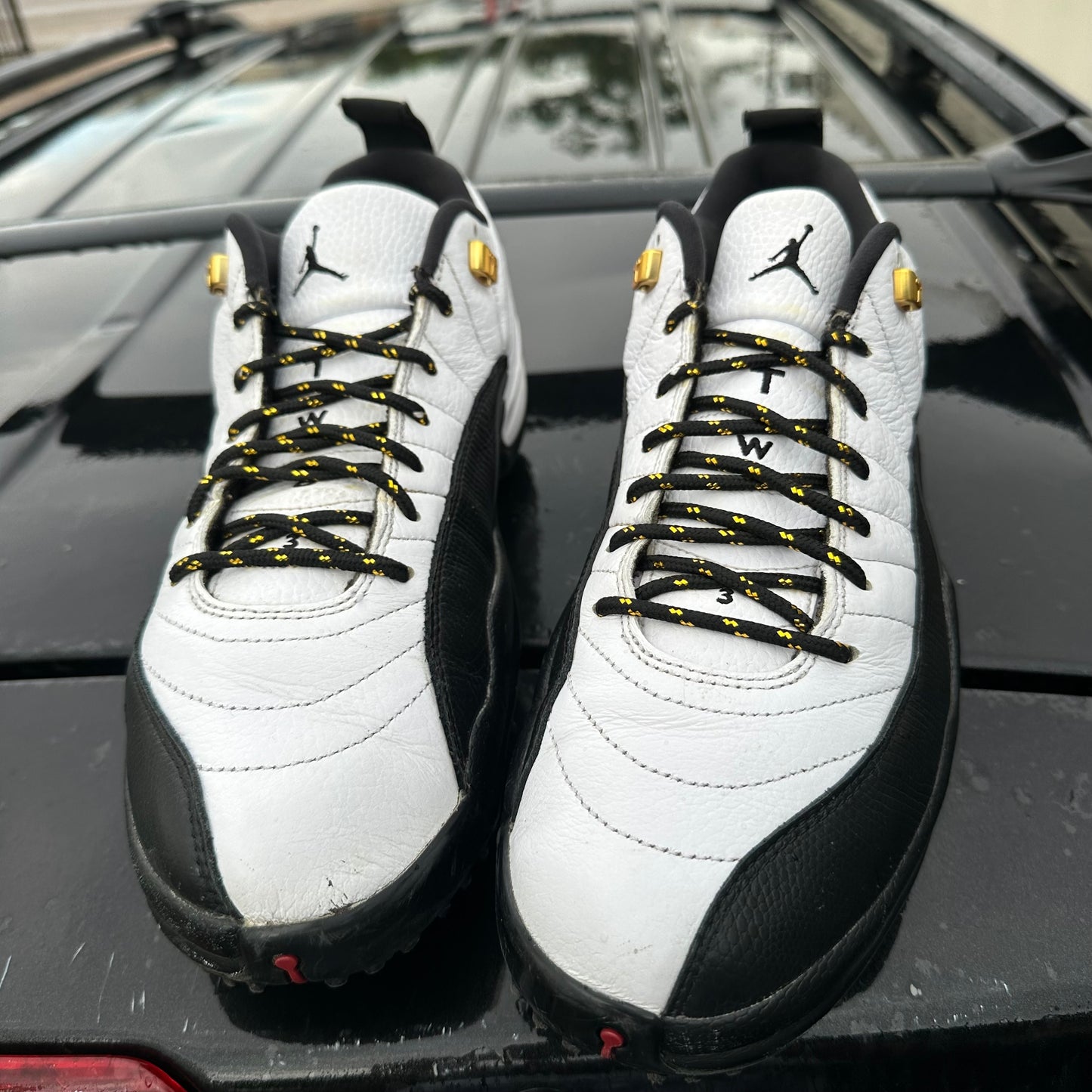 Jordan 12 GOLF Taxi Size 12