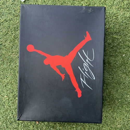 EMPTY BOX - Air Jordan 4 Raptor Great Condition 9.5 BOX ONLY NO PAPER NO SHOES