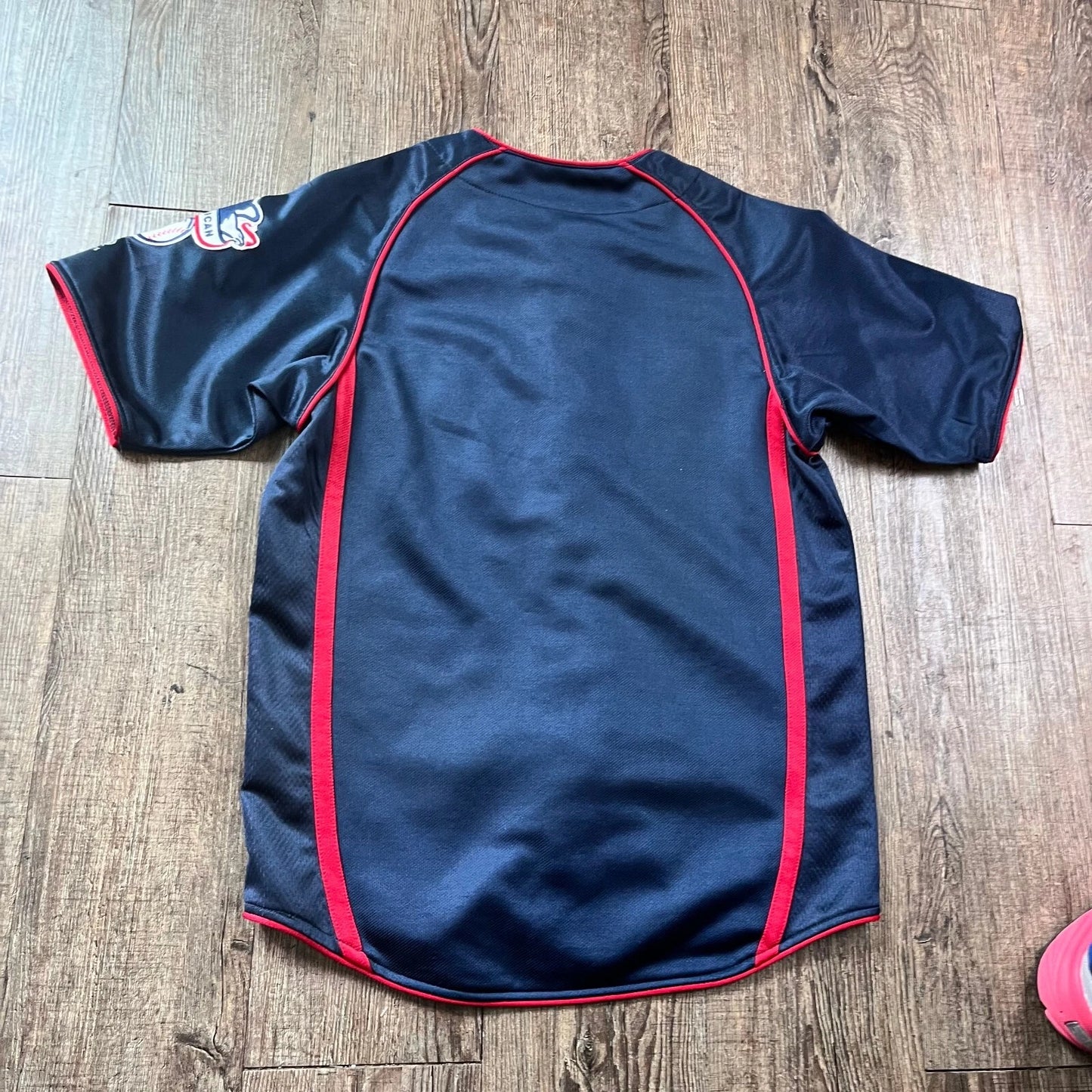 True Fan Mens Blue Red Minnesota Twins American Baseball MLB Button Down RARE