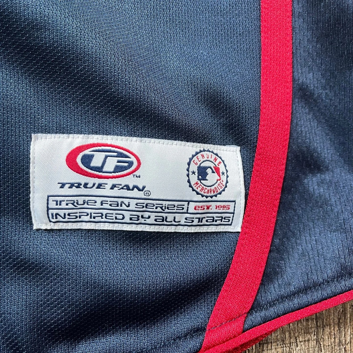 True Fan Mens Blue Red Minnesota Twins American Baseball MLB Button Down RARE