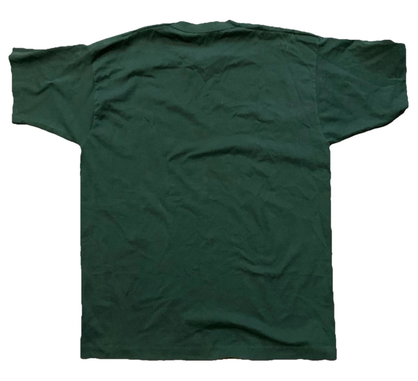 Vintage Fruit of the Loom BEST Mens Green Ariyana 90s Southwestern T-Shirt XL