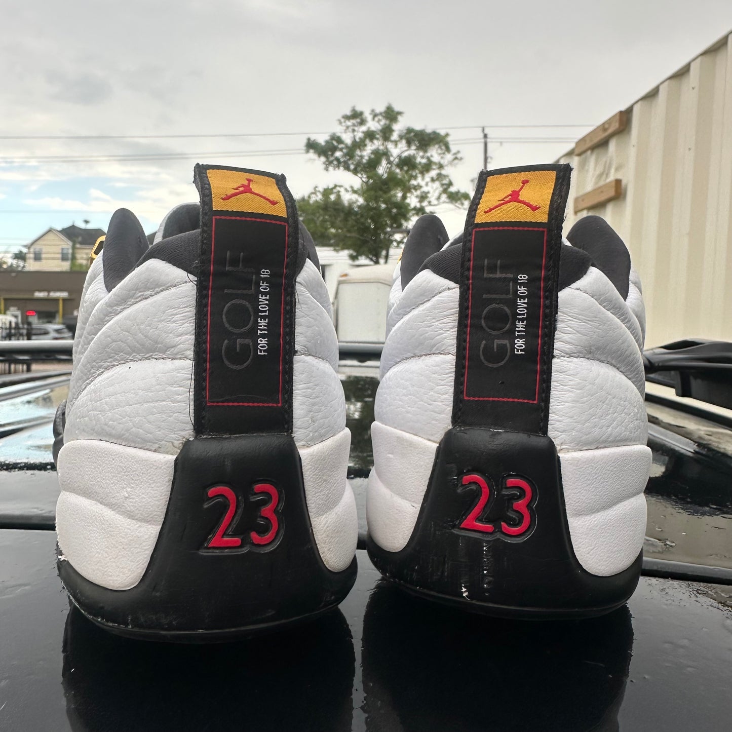Jordan 12 GOLF Taxi Size 12