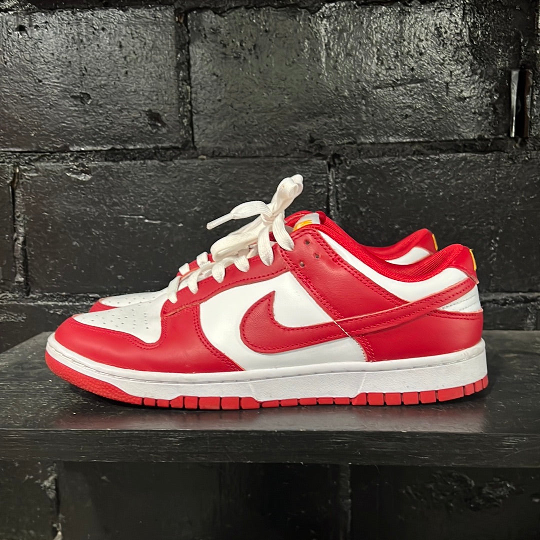 Dunk low size 9.5 (HOU)(trstdclub)