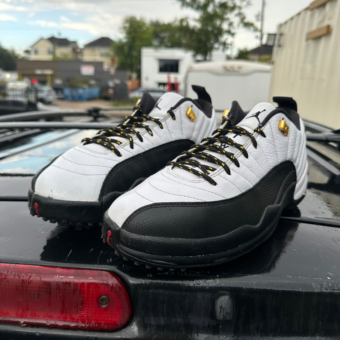 Jordan 12 GOLF Taxi Size 12