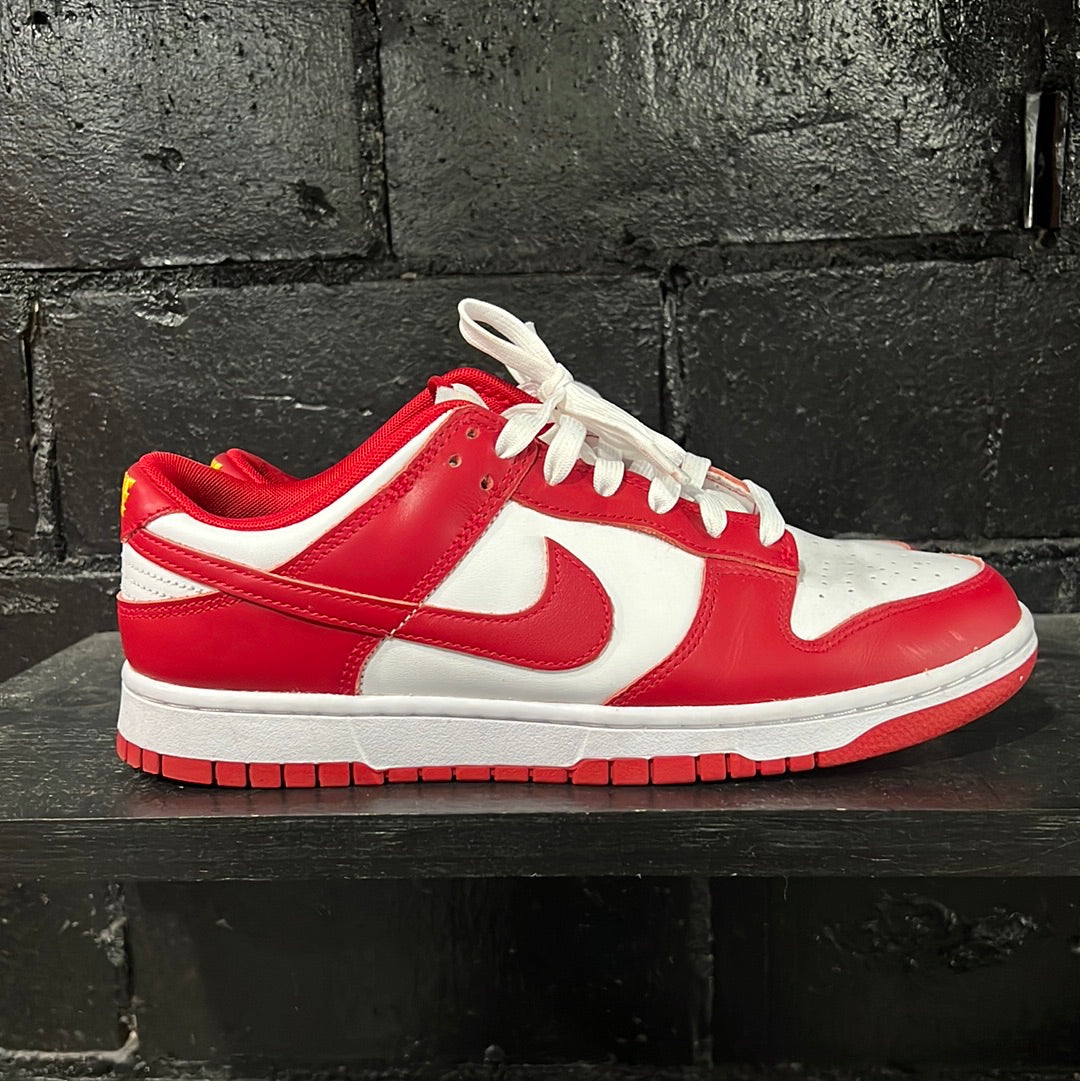 Dunk low size 9.5 (HOU)(trstdclub)