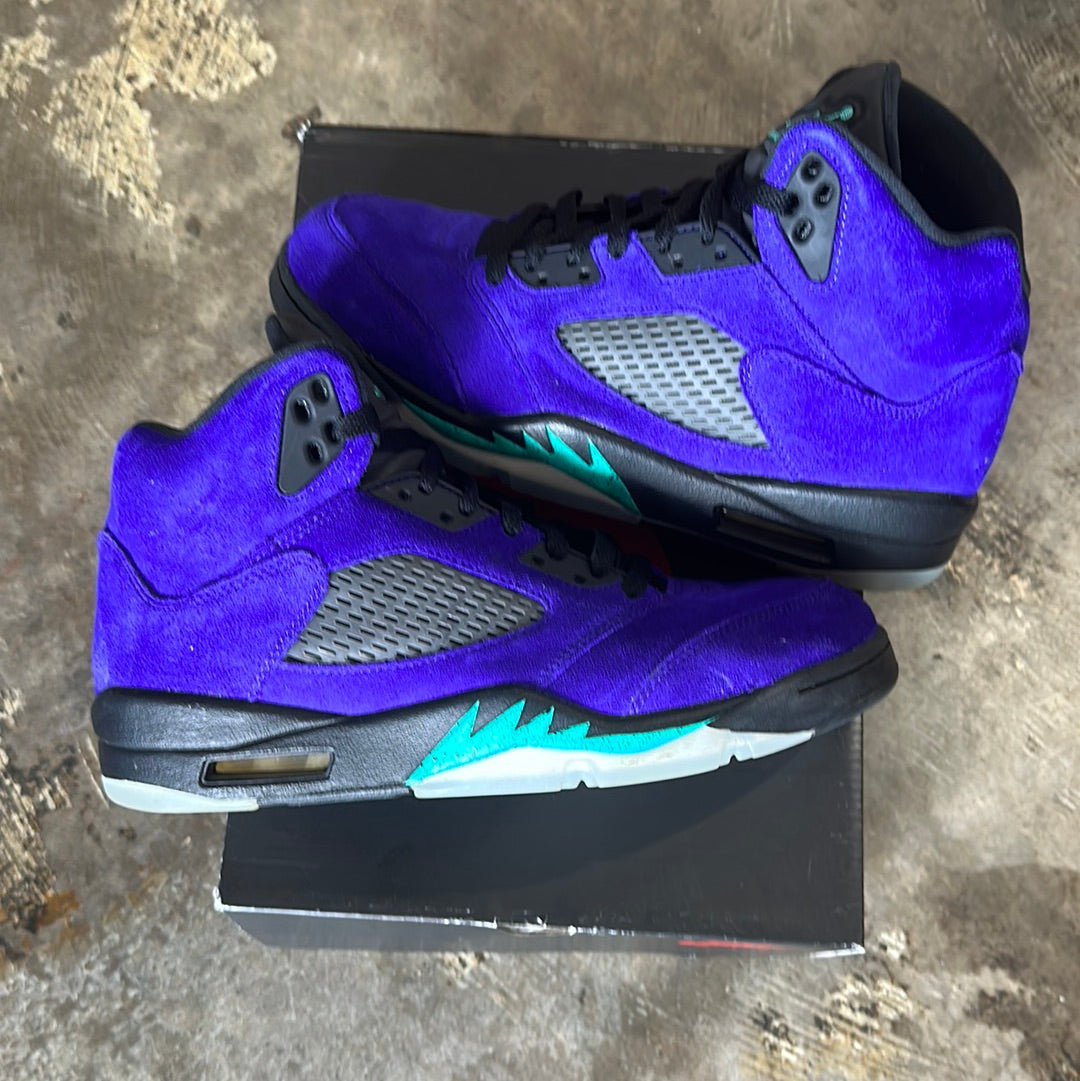 Jordan 5 Alternative Grape Size 9.5  (trstdclub)(Hou)